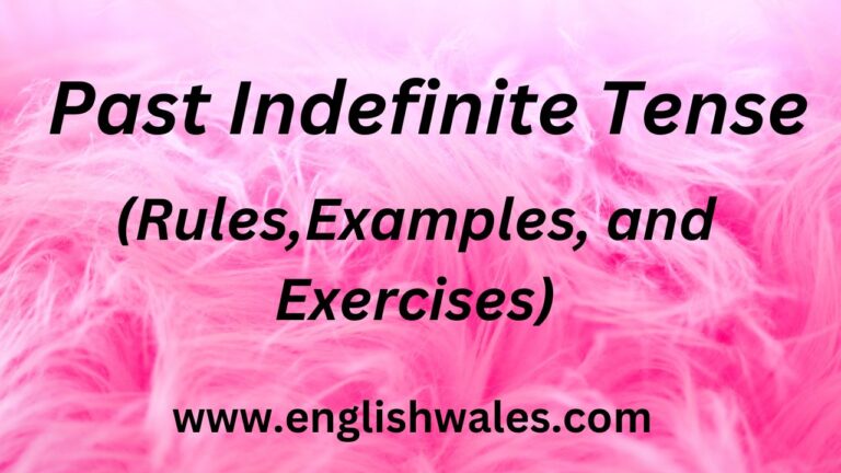 Past Indefinite Tense
