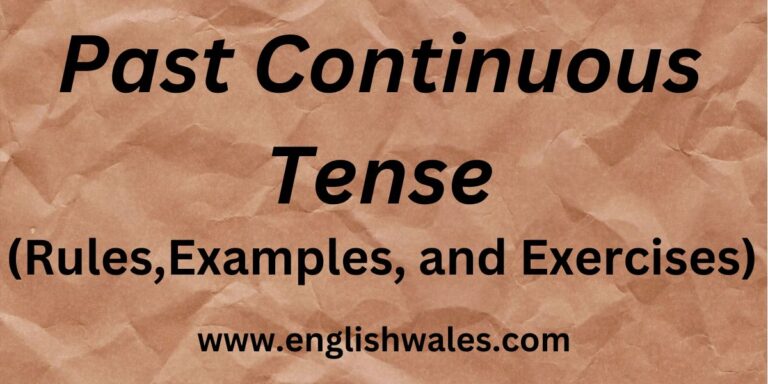 Past Continuous Tense in Hindi