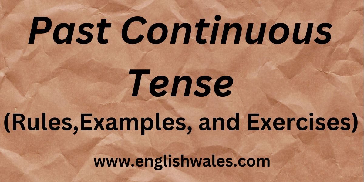 Past Continuous Tense in Hindi