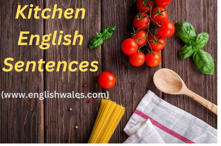 Kitchen English Sentences