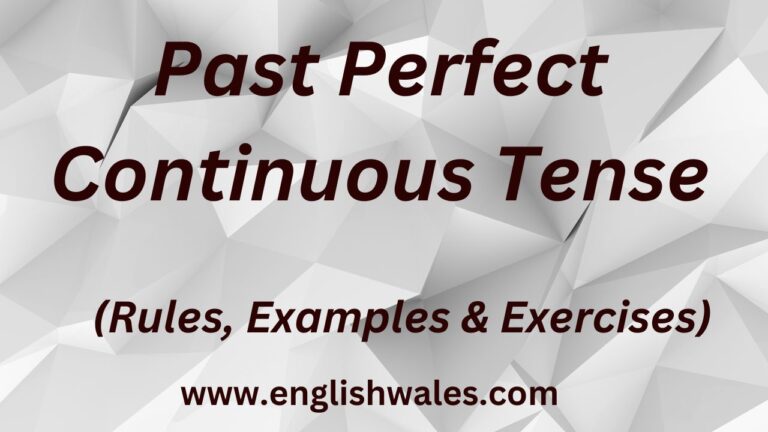 Past Perfect Continuous Tense