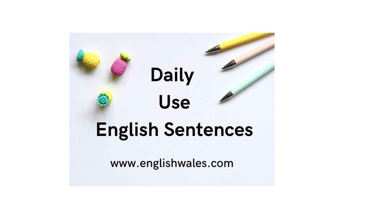 Daily Use English Sentences