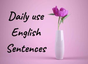 Daily use English Sentences 