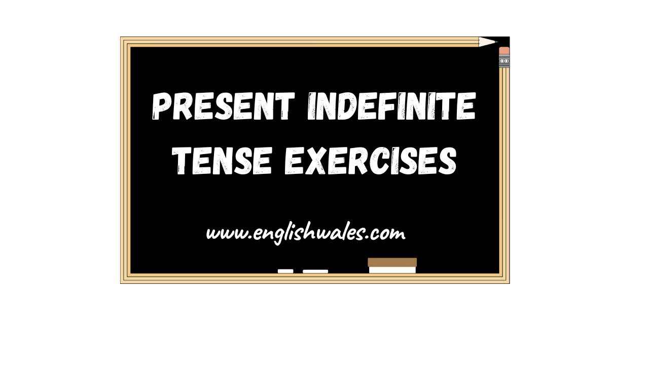 Present Indefinite Tense Exercises