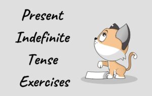 Present Indefinite tense exercises 