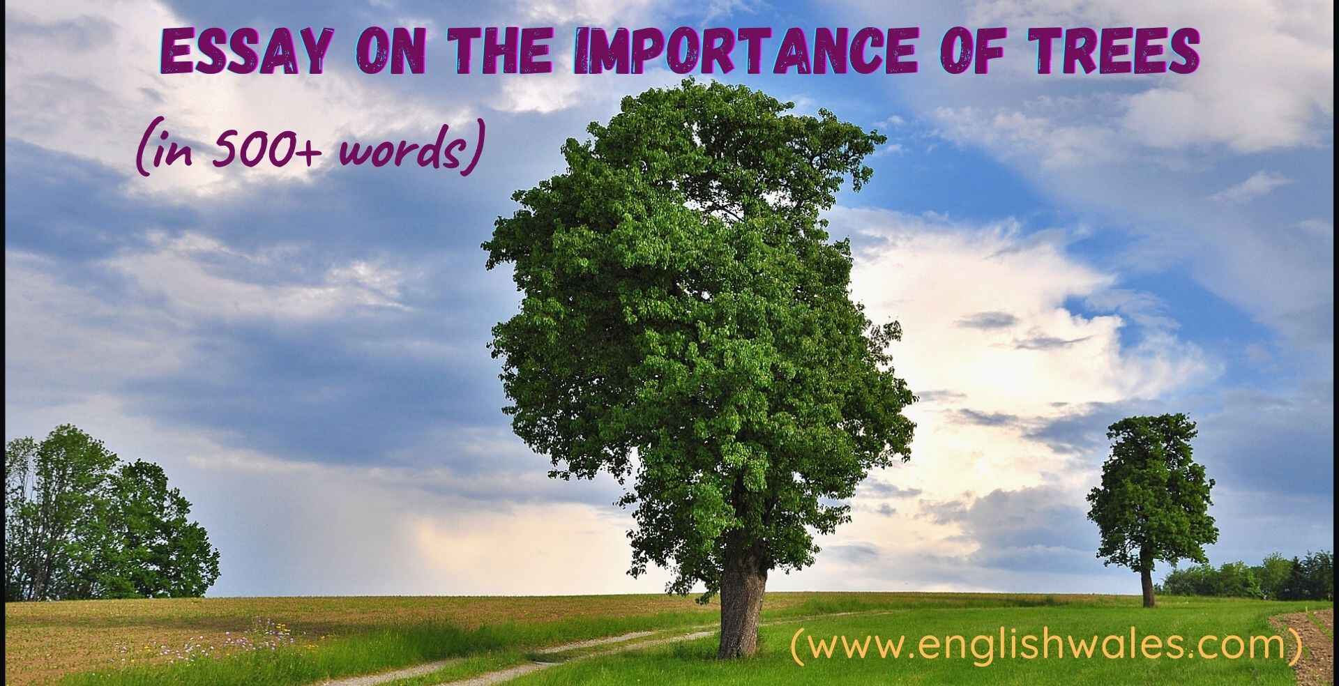 Essay on the Importance of Trees