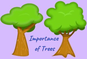 Importance of Trees 