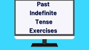 Past Indefinite Tense Exercises
