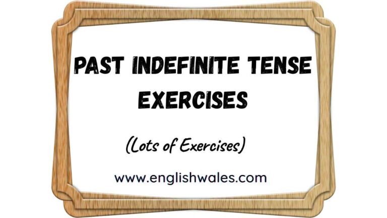 Past Indefinite Tense Exercises