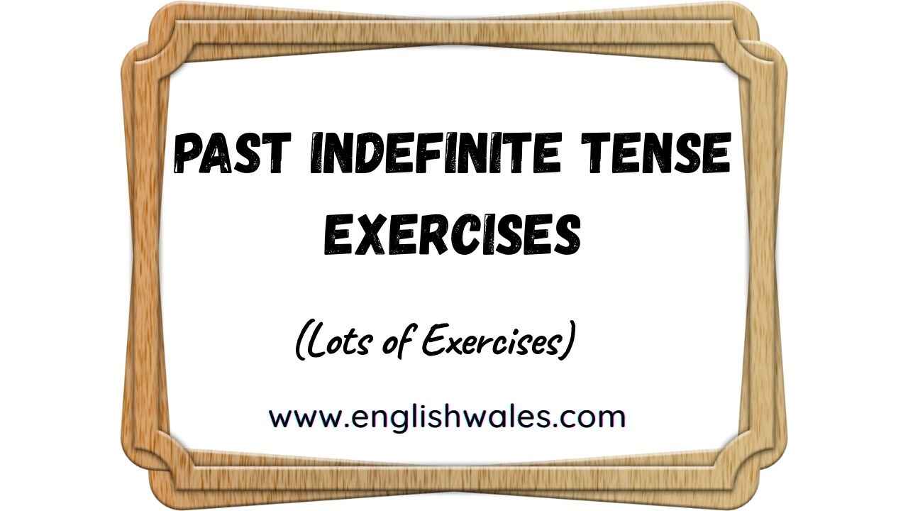 Past Indefinite Tense Exercises
