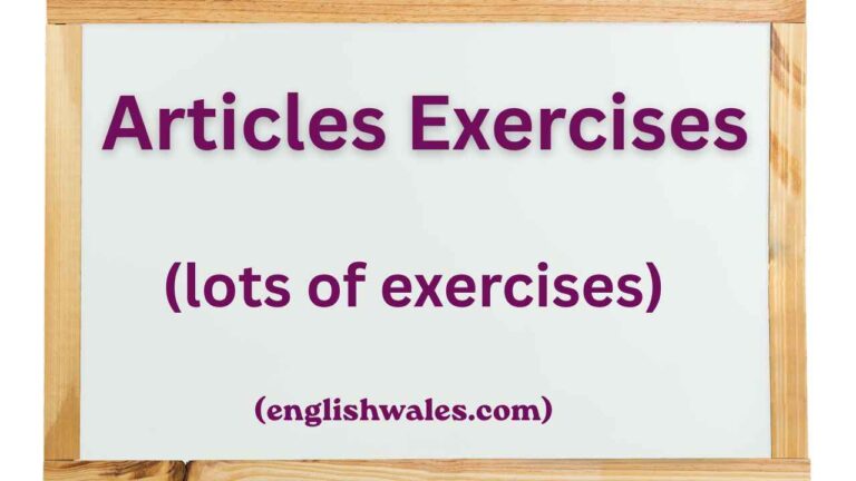 Articles Exercises