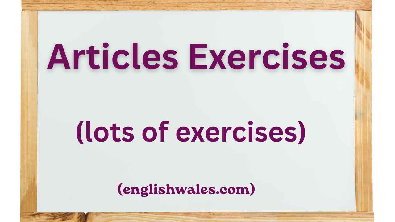 Articles Exercises